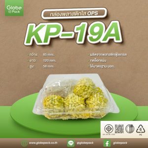 กล่องใส KP-19A (OPS) กดล็อคได้
